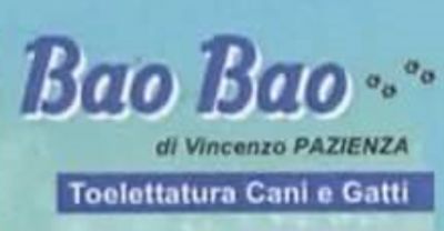 BAO BAO DI PAZIENZA VINCENZO